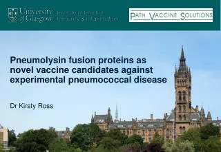 Pneumolysin fusion proteins as novel vaccine candidates against experimental pneumococcal disease