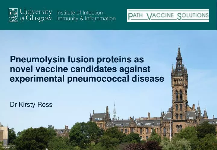 pneumolysin fusion proteins as novel vaccine candidates against experimental pneumococcal disease