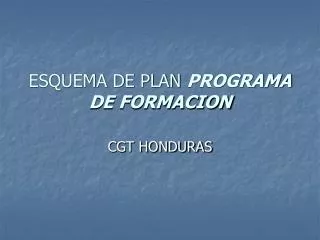 ESQUEMA DE PLAN PROGRAMA DE FORMACION