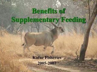 Benefits of Supplementary Feeding