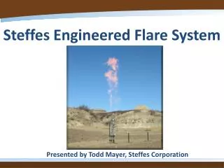 Steffes Engineered Flare System