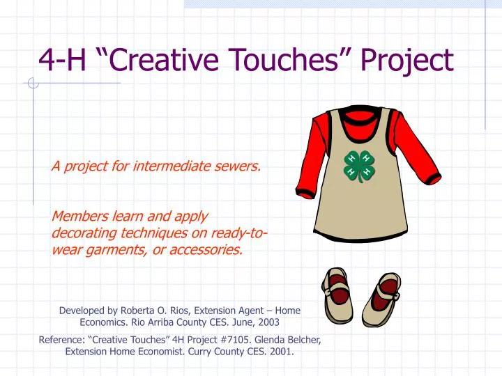 4 h creative touches project