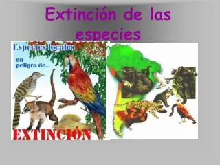 extinci n de las especies