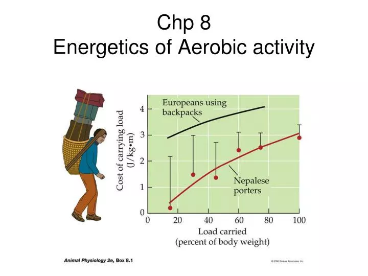 chp 8 energetics of aerobic activity