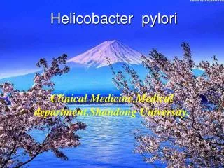 helicobacter pylori