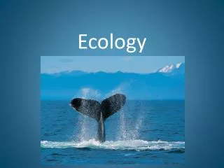 Ecology