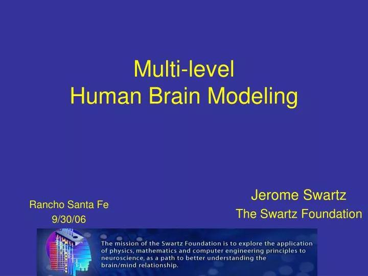 multi level human brain modeling