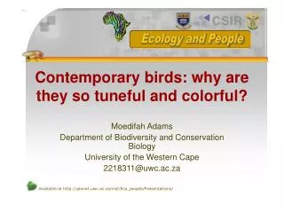 Contemporary birds: why are they so tuneful and colorful?