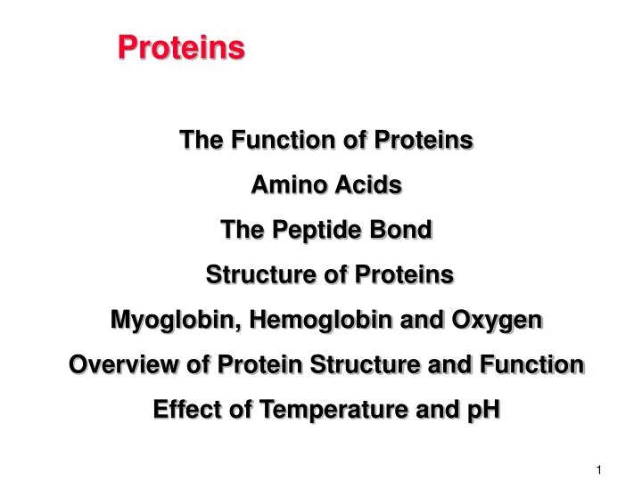 proteins