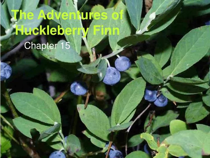 the adventures of huckleberry finn