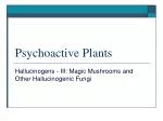 Hallucinogenic Fungi: Magic Mushrooms & Beyond - slide 1