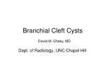 Branchial Cleft Cysts
