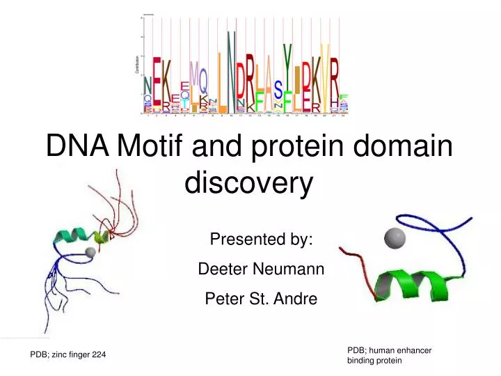 dna motif and protein domain discovery