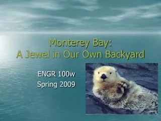 Monterey Bay: A Jewel in Our Own Backyard