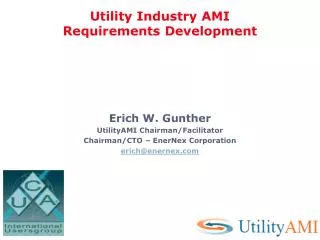 Utility Industry AMI Requirements Development