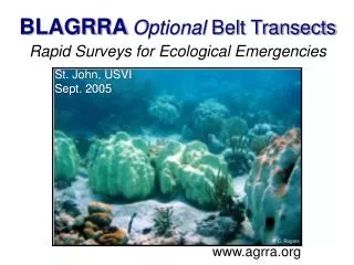 BLAGRRA Optional Belt Transects Rapid Surveys for Ecological Emergencies