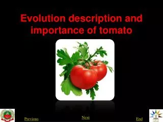 Evolution description and importance of tomato
