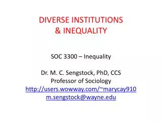 DIVERSE INSTITUTIONS &amp; INEQUALITY