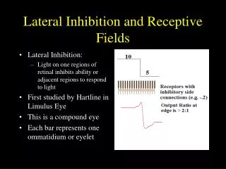 Lateral Inhibition and Receptive Fields