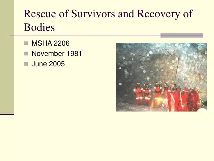 rescue of survivors and recovery of bodies