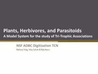 Plants, Herbivores, and Parasitoids A Model System for the study of Tri-Trophic Associations