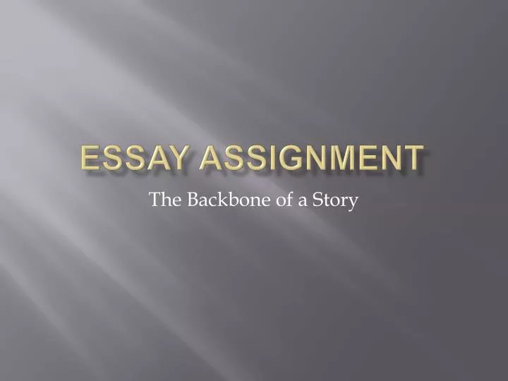 essay assignment