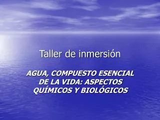 taller de inmersi n