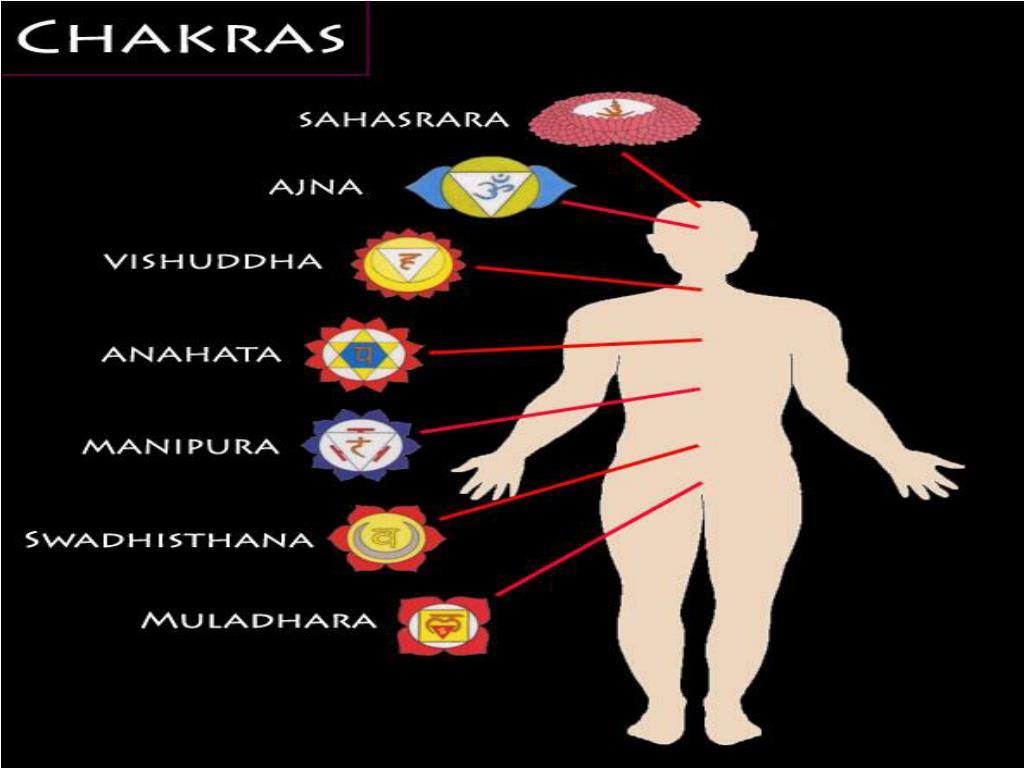 PPT - Short Chakra Video PowerPoint Presentation, free download - ID ...