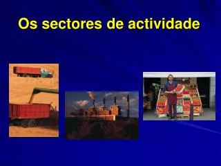 os sectores de actividade