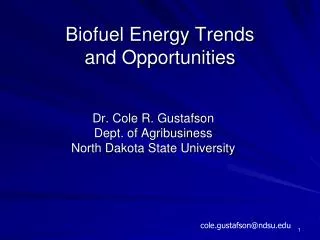 Biofuel Energy Trends and Opportunities
