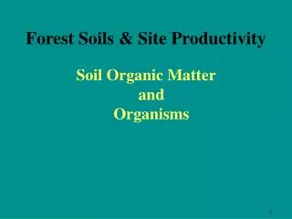 Forest Soils &amp; Site Productivity
