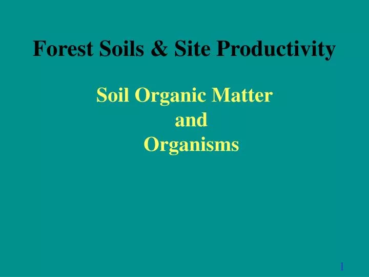 forest soils site productivity