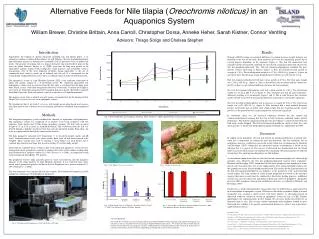Alternative Feeds for Nile tilapia ( Oreochromis niloticus) in an Aquaponics System