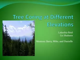 Tree Coring at Different Elevations