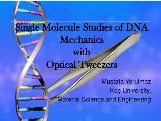 Single Molecule Studies of DNA Mechanics with Optical Tweezers