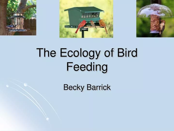 the ecology of bird feeding