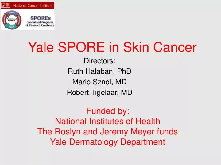 yale spore in skin cancer
