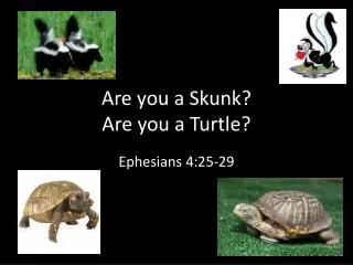 Are you a Skunk? Are you a Turtle?