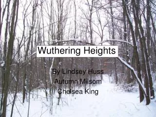 wuthering heights (2nd nine weeks)