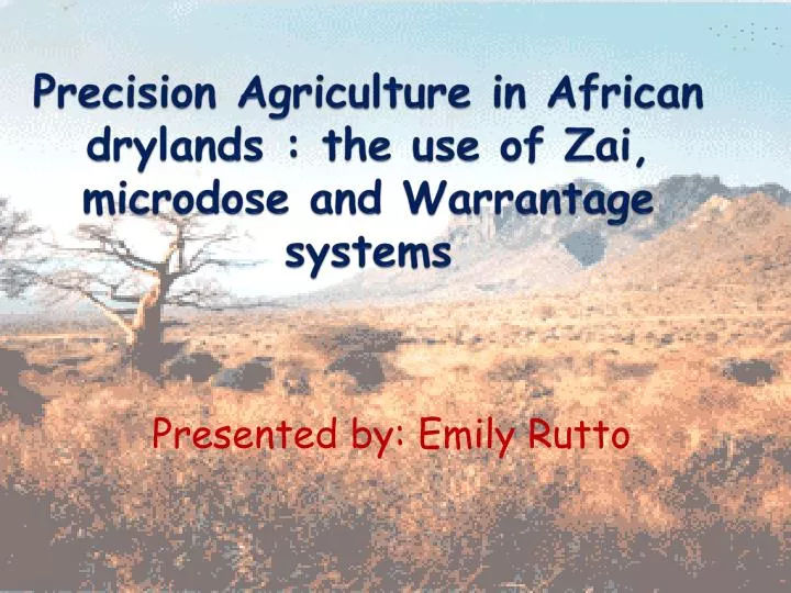 precision agriculture in african drylands the use of zai microdose and warrantage systems