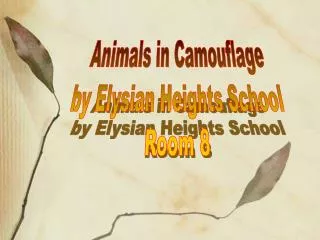 Animals in Camouflage by Elysian Heights School Room 8