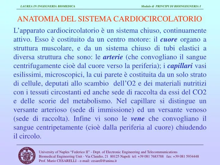 anatomia del sistema cardiocircolatorio