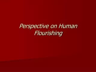 Perspective on Human Flourishing