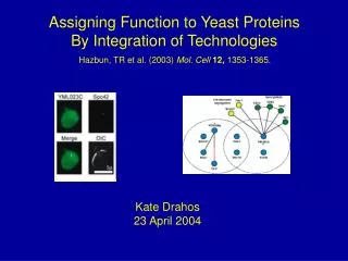 Assigning Function to Yeast Proteins By Integration of Technologies