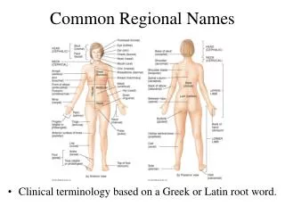 Common Regional Names