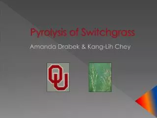 Pyrolysis of Switchgrass