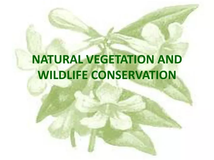 natural vegetation and wildlife conservation