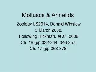 Molluscs &amp; Annelids