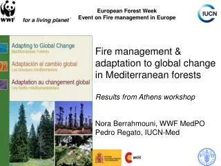 Fire management &amp; adaptation to global change in Mediterranean forests Results from Athens workshop Nora Berrahmoun