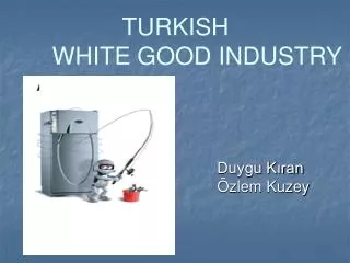 TURKISH 	WHITE GOOD INDUSTRY